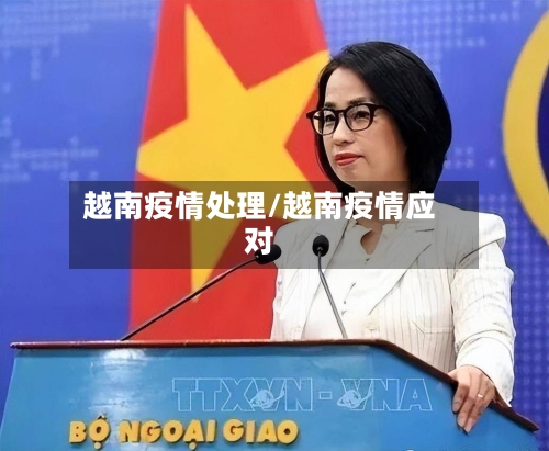越南疫情处理/越南疫情应对