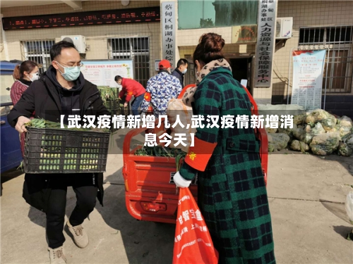【武汉疫情新增几人,武汉疫情新增消息今天】-第2张图片
