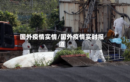 国外疫情实情/国外疫情实时报道-第2张图片