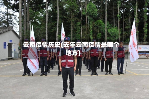 云南疫情历史(去年云南疫情是哪个地方)-第2张图片