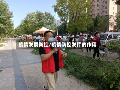 疫情发展防控/疫情防控发挥的作用