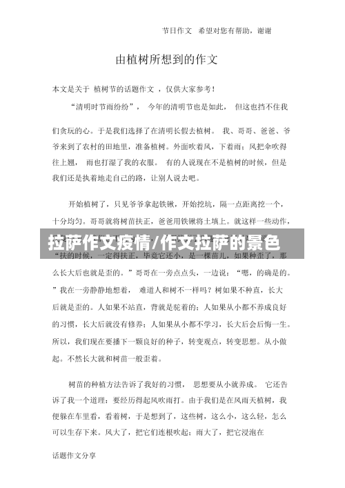 拉萨作文疫情/作文拉萨的景色
