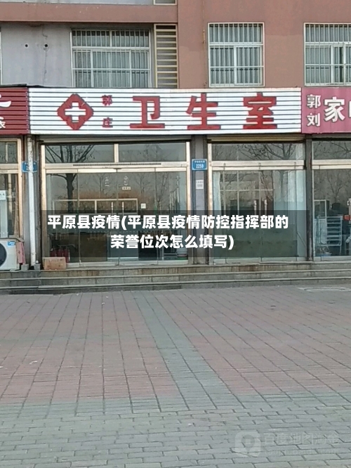 平原县疫情(平原县疫情防控指挥部的荣誉位次怎么填写)-第2张图片