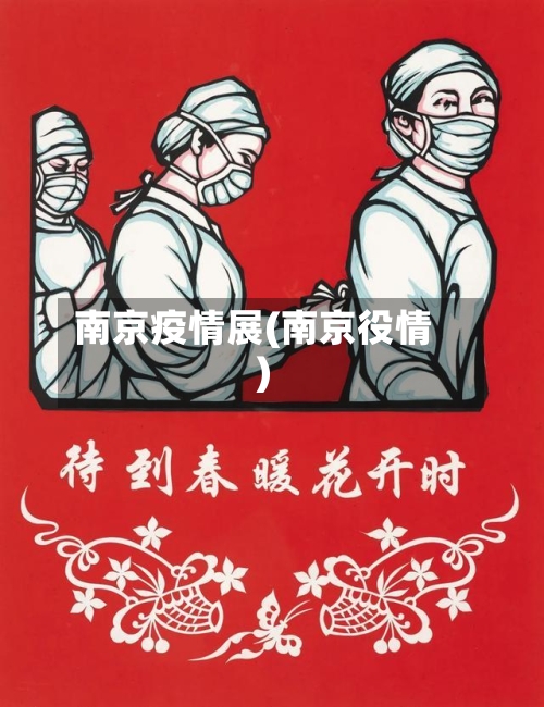 南京疫情展(南京役情)