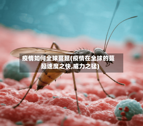 疫情如何全球蔓延(疫情在全球的蔓延速度之快,威力之猛)-第2张图片