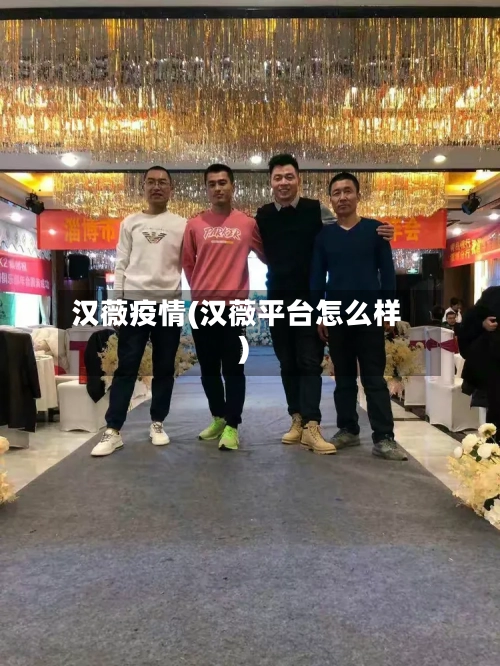 汉薇疫情(汉薇平台怎么样)-第3张图片