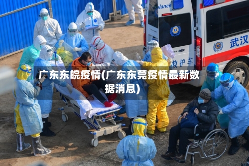 广东东皖疫情(广东东莞疫情最新数据消息)-第3张图片