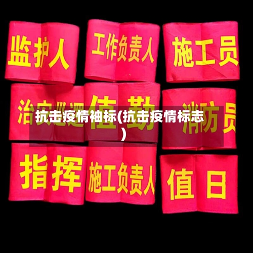 抗击疫情袖标(抗击疫情标志)