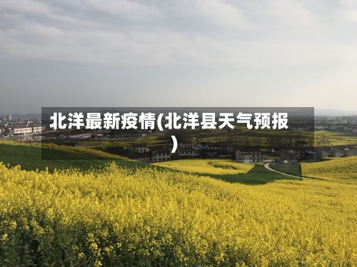 北洋最新疫情(北洋县天气预报)