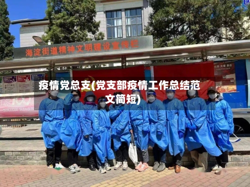 疫情党总支(党支部疫情工作总结范文简短)-第2张图片