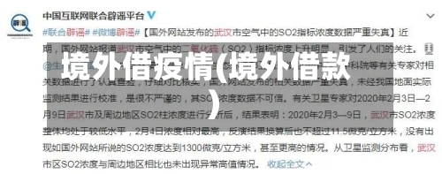 境外借疫情(境外借款)-第2张图片