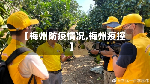 【梅州防疫情况,梅州疫控】