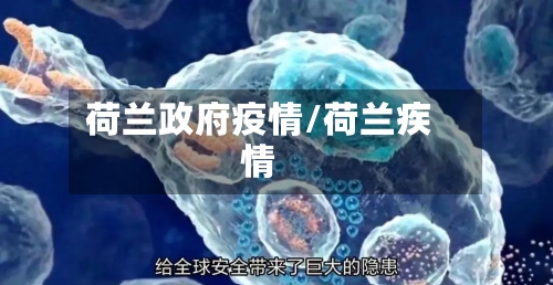 荷兰政府疫情/荷兰疾情
