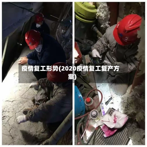 疫情复工形势(2020疫情复工复产方案)