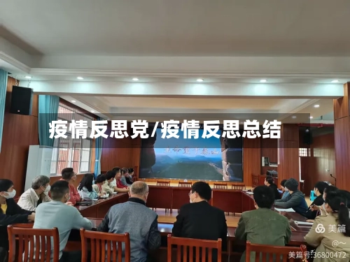 疫情反思党/疫情反思总结