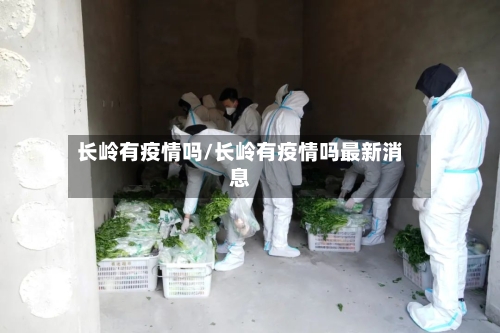 长岭有疫情吗/长岭有疫情吗最新消息