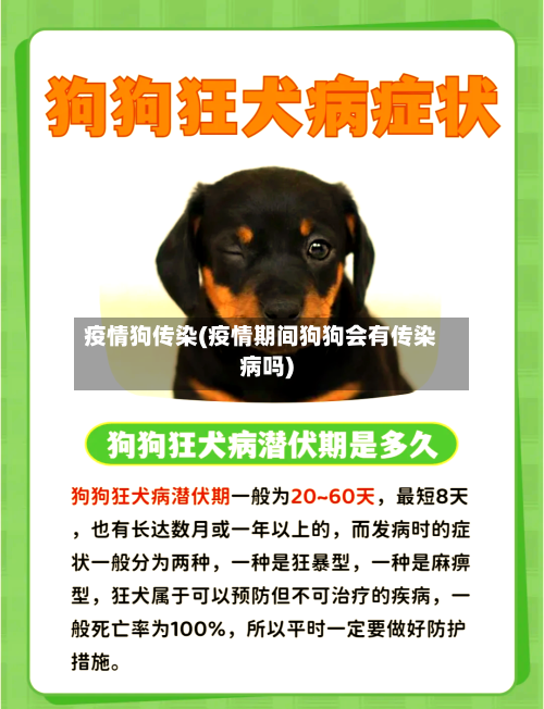 疫情狗传染(疫情期间狗狗会有传染病吗)