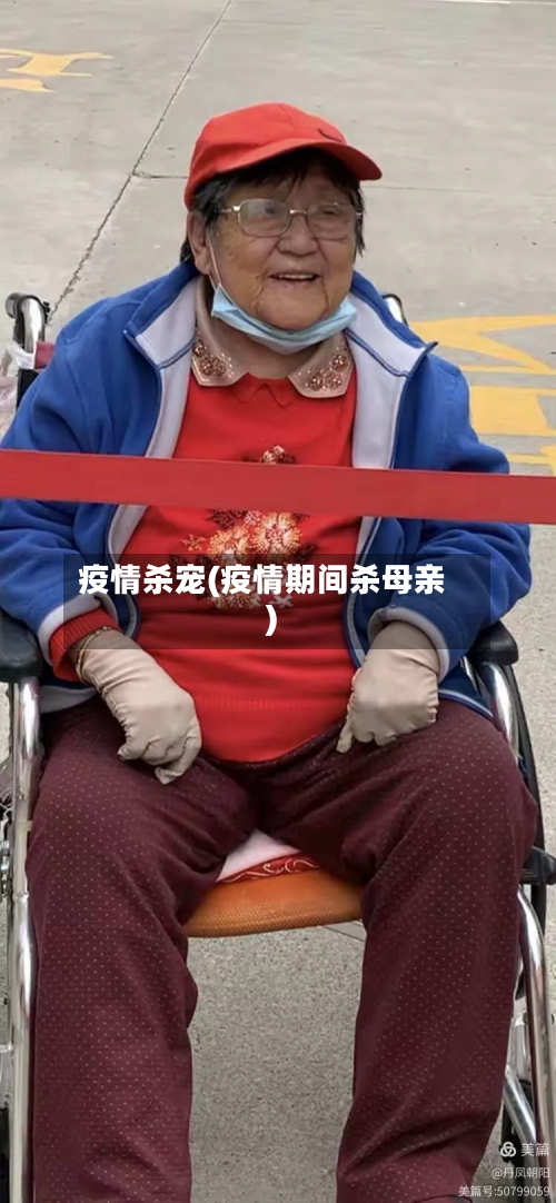 疫情杀宠(疫情期间杀母亲)-第2张图片