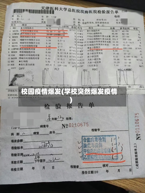校园疫情爆发(学校突然爆发疫情)