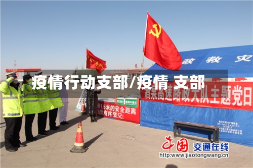 疫情行动支部/疫情 支部-第2张图片