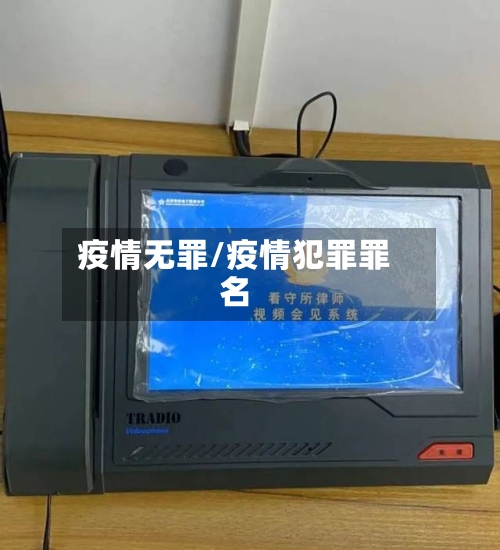 疫情无罪/疫情犯罪罪名
