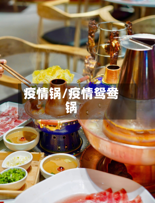 疫情锅/疫情鸳鸯锅-第2张图片