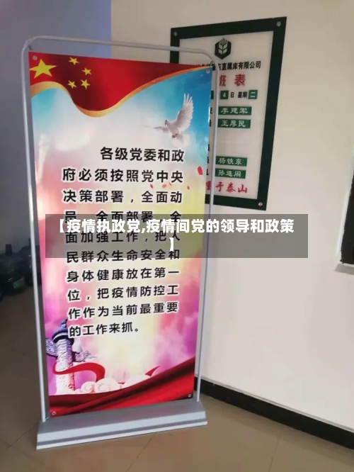 【疫情执政党,疫情间党的领导和政策】