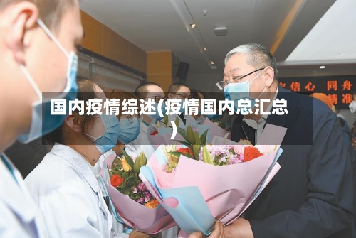 国内疫情综述(疫情国内总汇总)