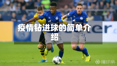 疫情钻进球的简单介绍