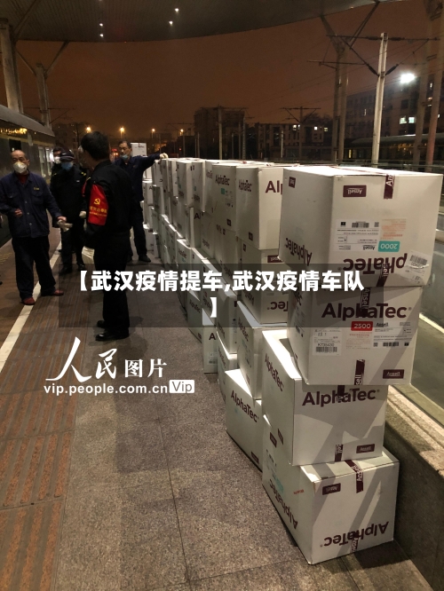 【武汉疫情提车,武汉疫情车队】-第3张图片
