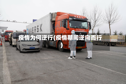 疫情为何逆行(疫情期间逆向而行)-第3张图片