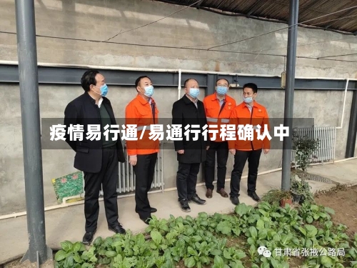 疫情易行通/易通行行程确认中