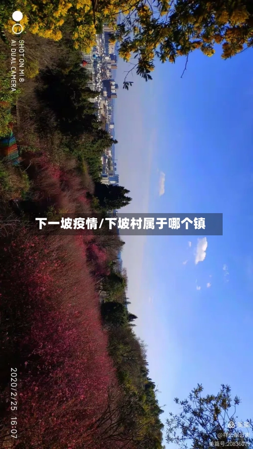 下一坡疫情/下坡村属于哪个镇
