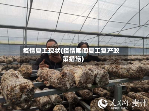 疫情复工现状(疫情期间复工复产政策措施)-第3张图片