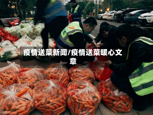 疫情送菜新闻/疫情送菜暖心文章