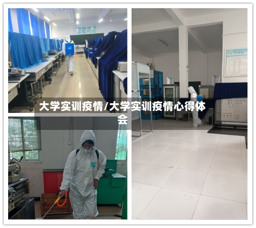大学实训疫情/大学实训疫情心得体会