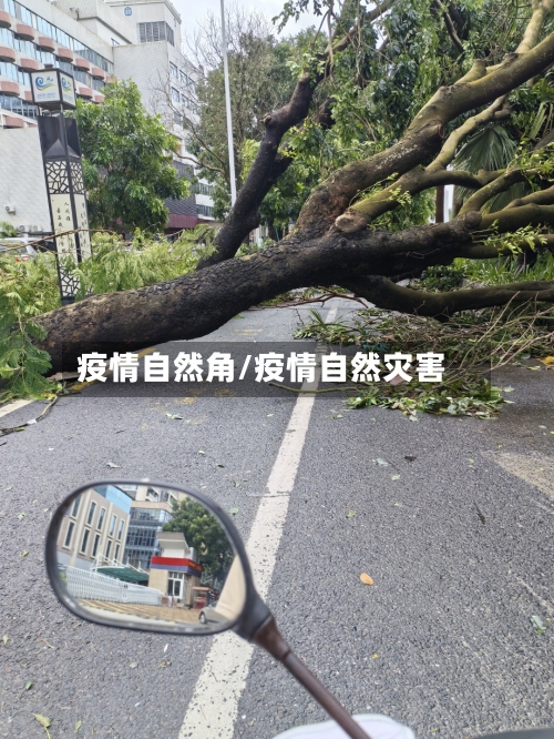 疫情自然角/疫情自然灾害-第2张图片