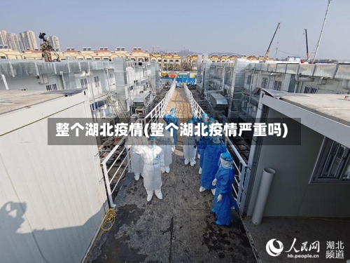 整个湖北疫情(整个湖北疫情严重吗)-第2张图片