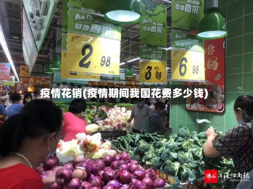 疫情花销(疫情期间我国花费多少钱)