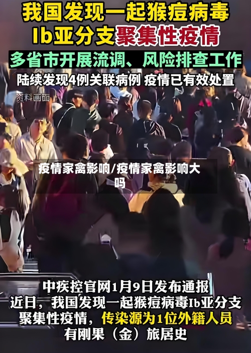 疫情家禽影响/疫情家禽影响大吗-第2张图片