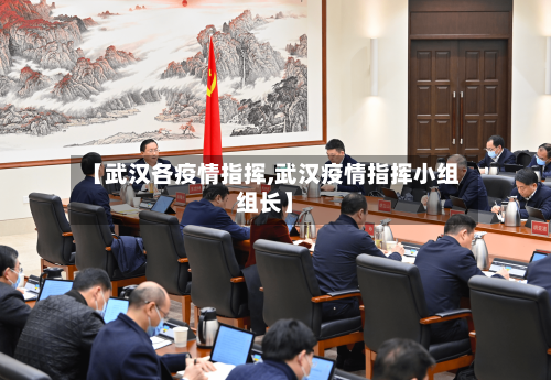 【武汉各疫情指挥,武汉疫情指挥小组组长】