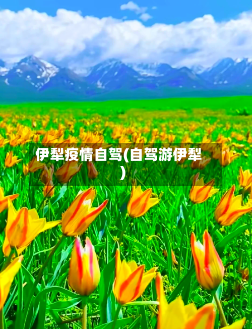 伊犁疫情自驾(自驾游伊犁)-第2张图片