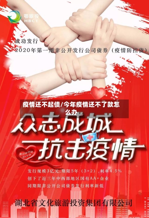 疫情还不起债/今年疫情还不了款怎么办