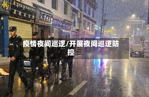 疫情夜间巡逻/开展夜间巡逻防控