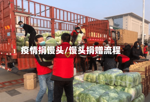 疫情捐馒头/馒头捐赠流程-第2张图片
