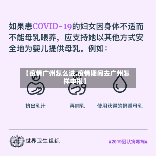 【疫情广州怎么进,疫情期间去广州怎样申报】