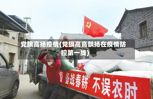 党旗高扬疫情(党旗高高飘扬在疫情防控第一线)