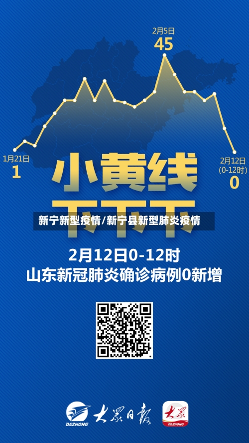 新宁新型疫情/新宁县新型肺炎疫情-第3张图片