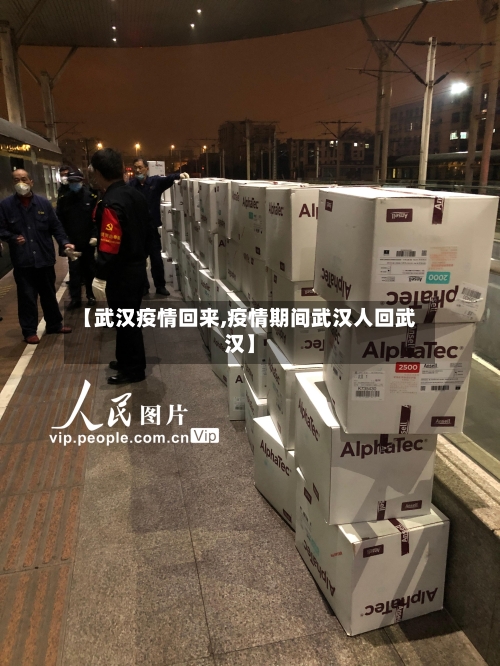 【武汉疫情回来,疫情期间武汉人回武汉】-第3张图片