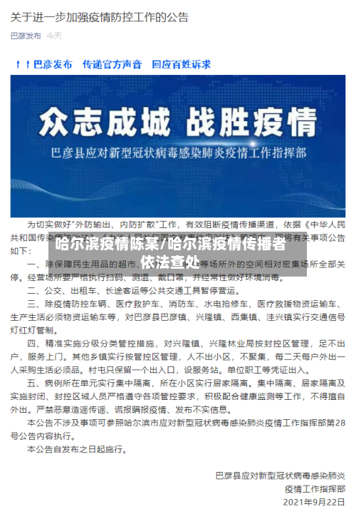 哈尔滨疫情陈某/哈尔滨疫情传播者依法查处
